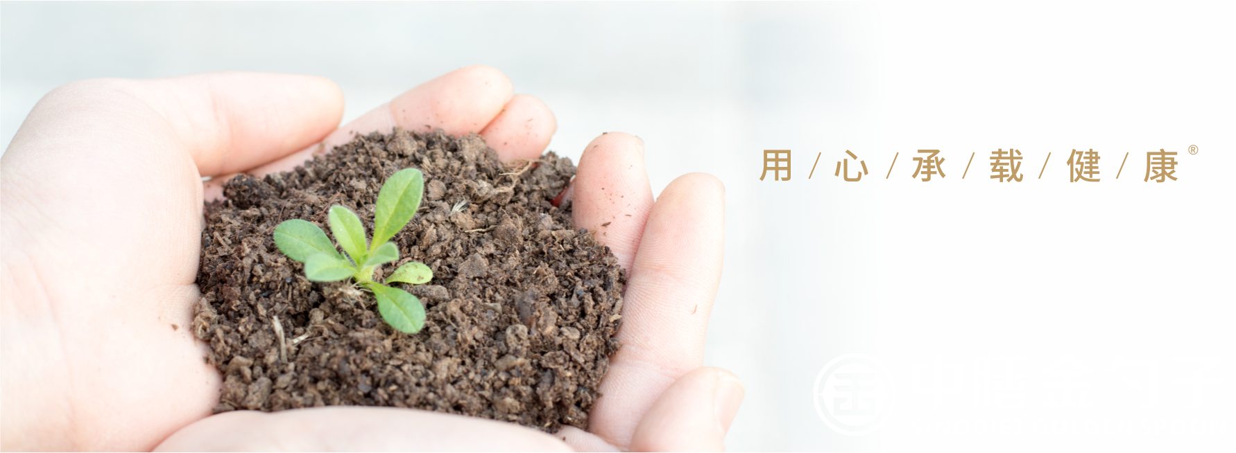 頂關(guan) 注.png