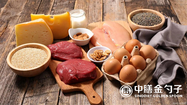 學校食堂承包：打造健康營養(yang) 的飲食環境.png